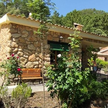 Riópar La Lobera Alojamiento Rural מראה חיצוני תמונה